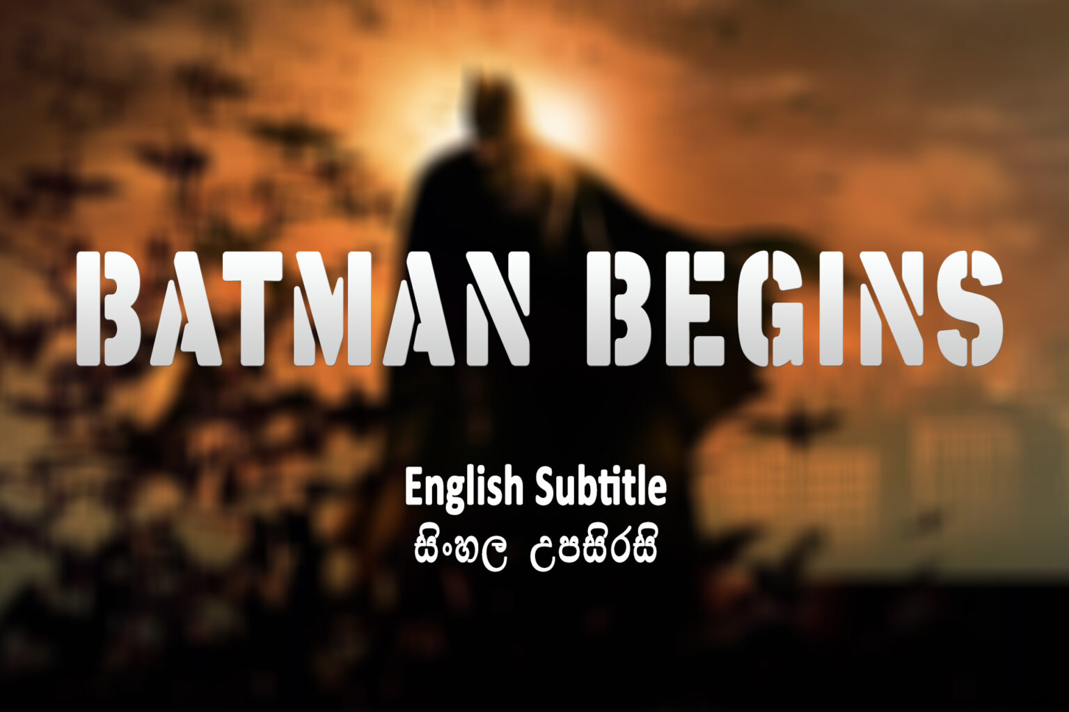 Batman Begins (2005)