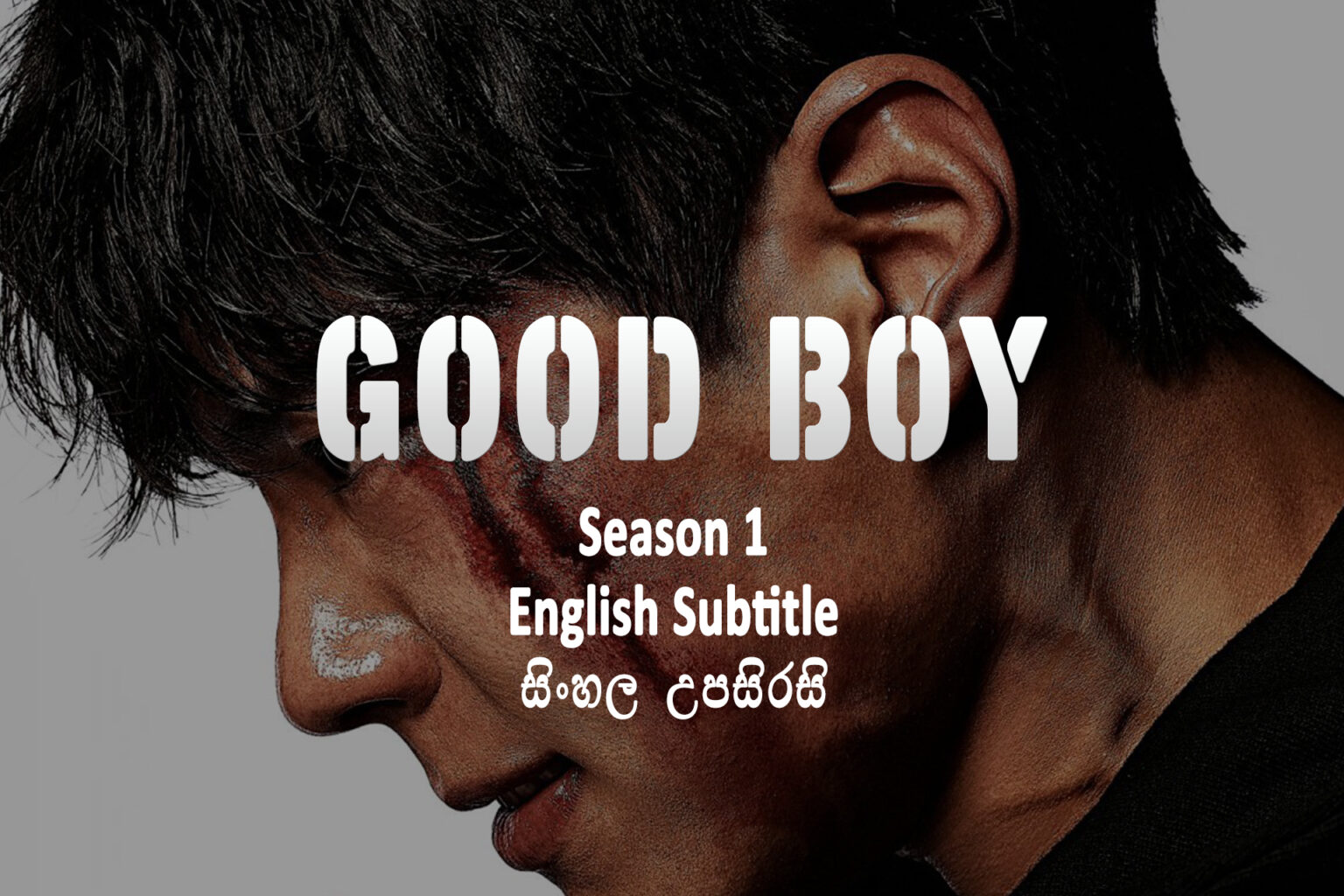 Good Boy tv seried